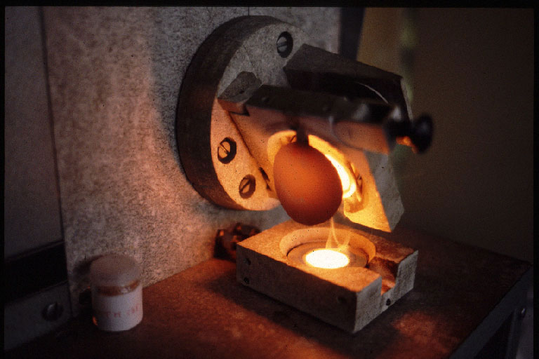 rencontres internationales d archéologie et d histoire d antibes