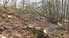 Vue de l’enceinte principale du « Châtelard » à Courzieu (Rhône, cliché Pierre Dutreuil)