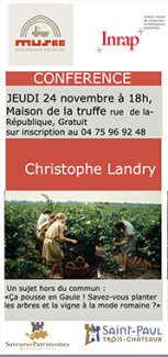 Plantation des jardins, des fruitiers et de la vigne à l'époque romaine