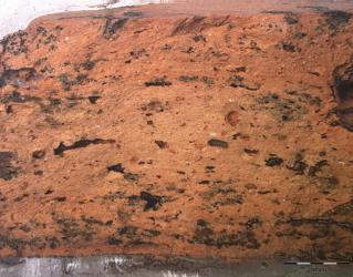 pâte de Sevrey